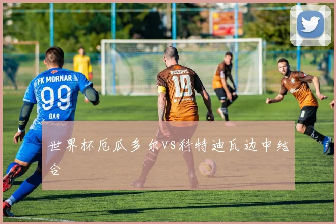 世界杯厄瓜多尔vs科特迪瓦边中结合