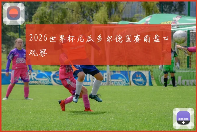 2026世界杯厄瓜多尔德国赛前盘口观察