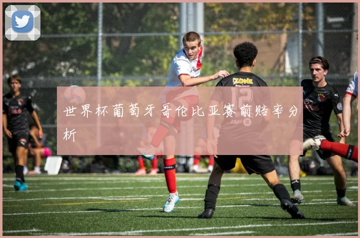 世界杯葡萄牙哥伦比亚赛前赔率分析