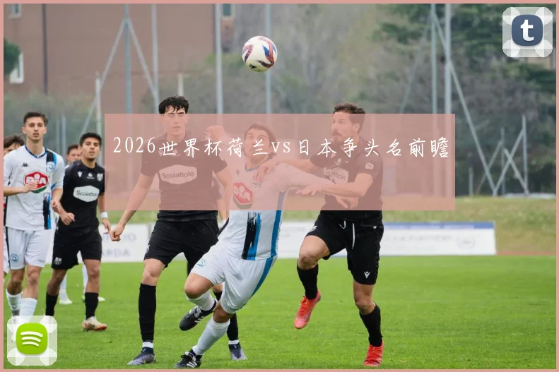 2026世界杯荷兰vs日本争头名前瞻