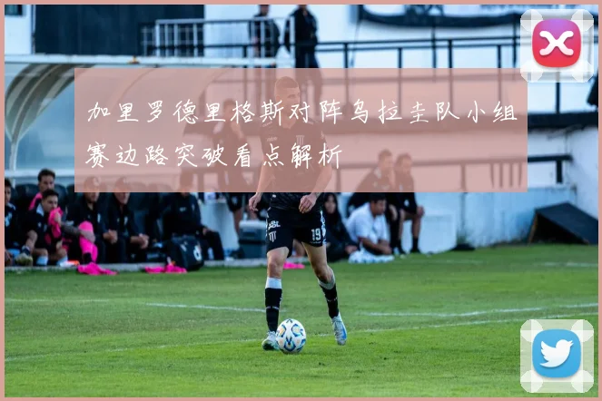 加里罗德里格斯对阵乌拉圭队小组赛边路突破看点解析