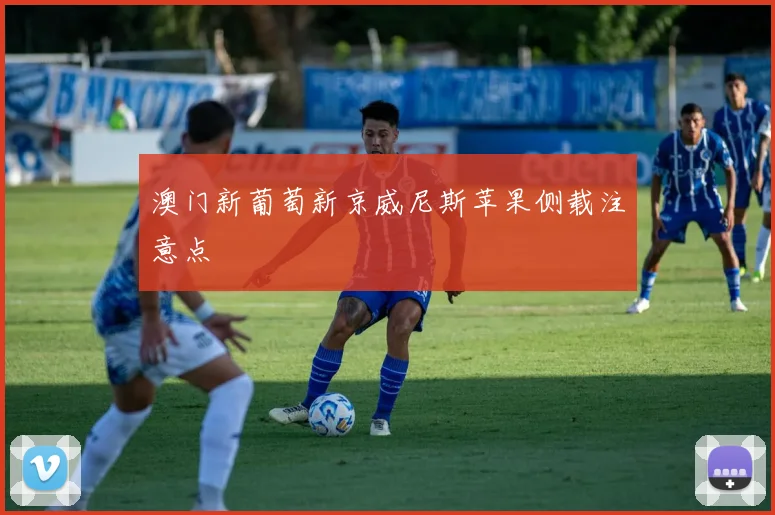 澳门新葡萄新京威尼斯苹果侧载注意点