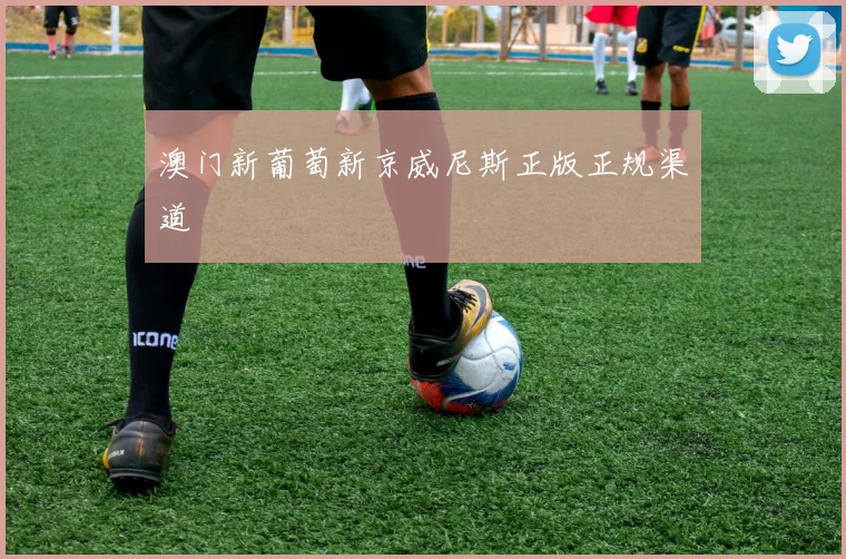 澳门新葡萄新京威尼斯正版正规渠道